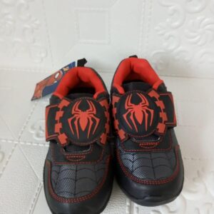 Spiderman Canvas